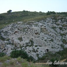 DSCN3223 (Copia)